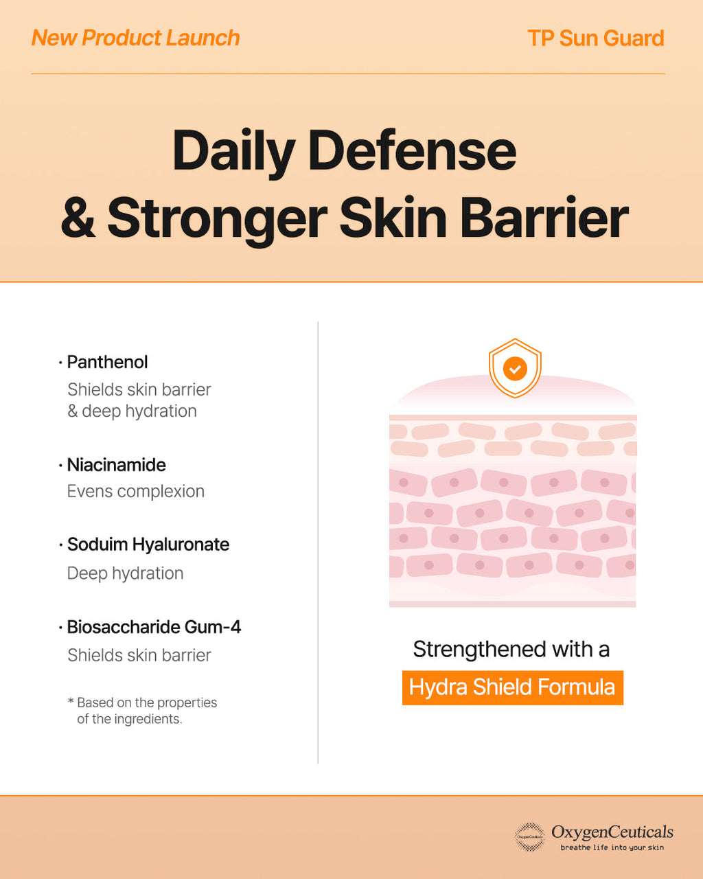 TP Sun Guard key ingredients niacinamide hyaluronic acid panthenol / TP Sun Guard 核心成分 煙酰胺 透明質酸 泛醇