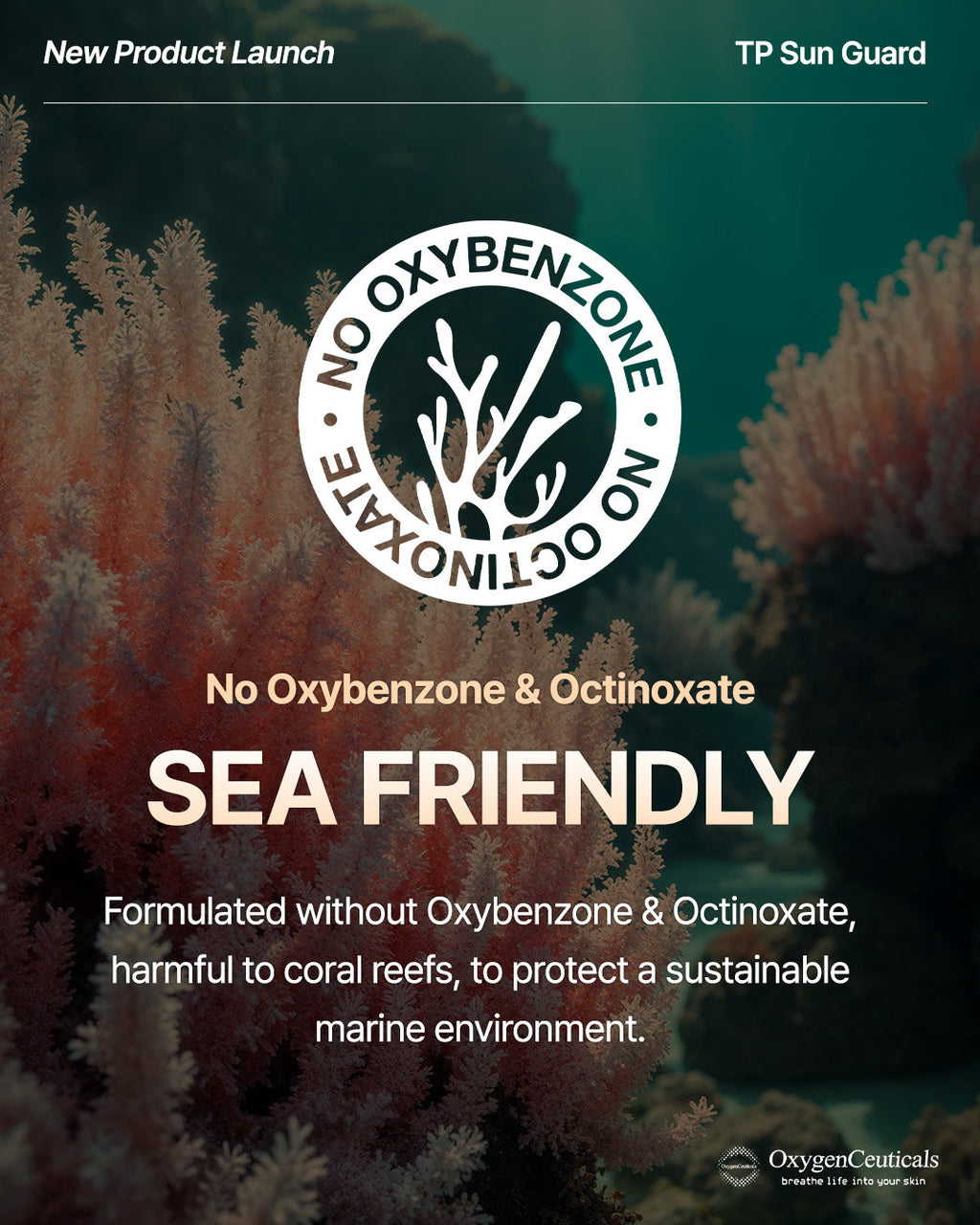 TP Sun Guard reef-safe formula no oxybenzone no octinoxate / TP Sun Guard 海洋安全配方 不含 oxybenzone 與 octinoxate
