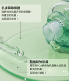 Skin Barrier Fluid 主要成分重點